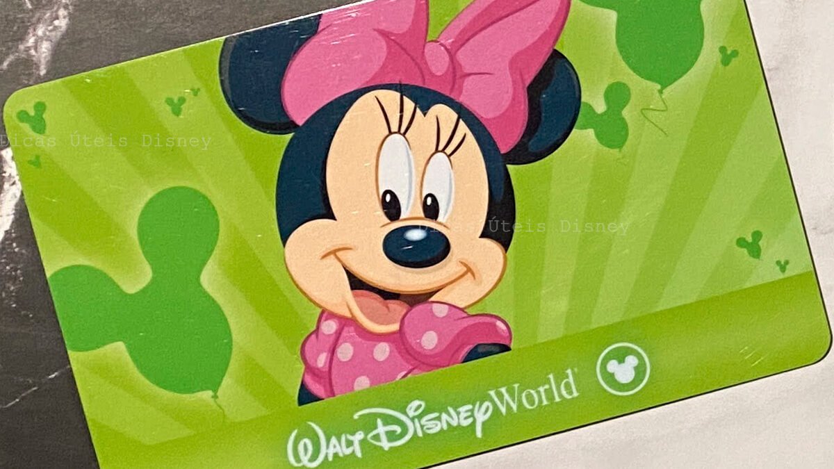 ENTRAR NO DISNEY visual data 7